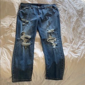 Women’s Plus Size Jeans